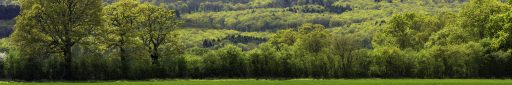 view Looking towards the blackdownhills during the midday sun.