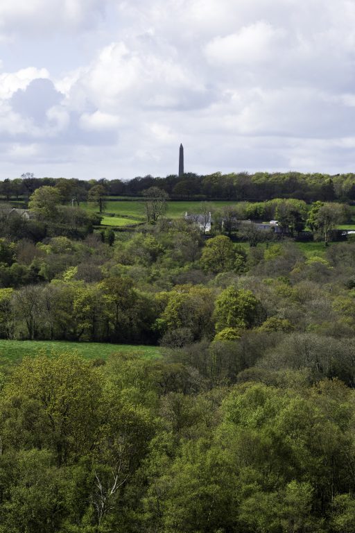 Wellington Monument in the distance on a bright day