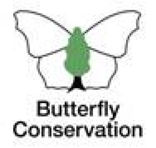 Butterfly conservation logo