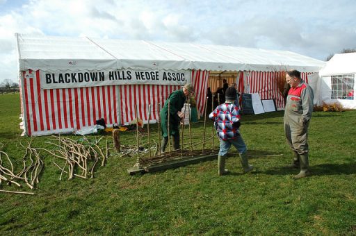 Blackdown Hills head association skills demonstration near a marquee