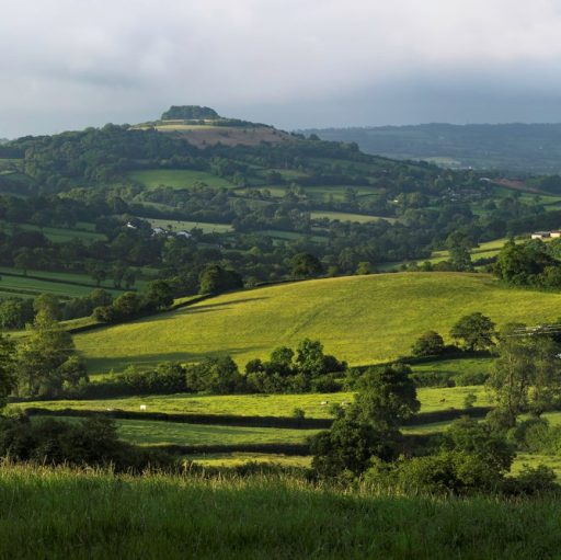 Dumpdon Hillfort