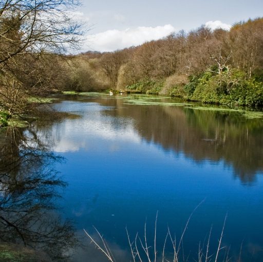 Otterhead upper lake. Photo: Mark Robinson