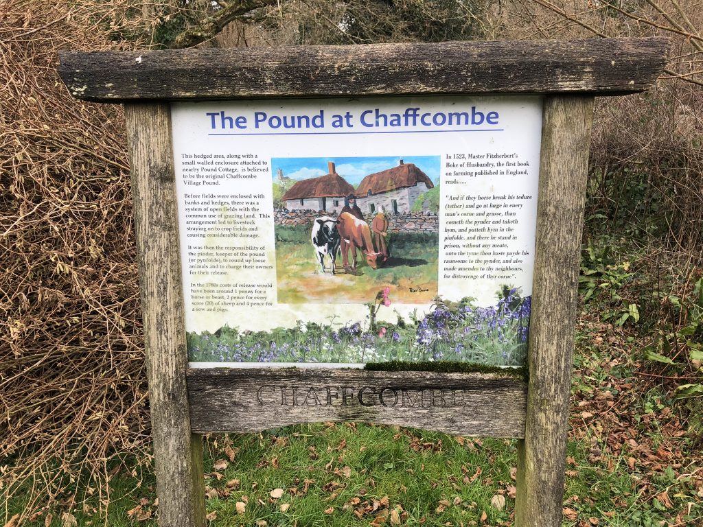 Information board - The Pound at Chaffcombe.