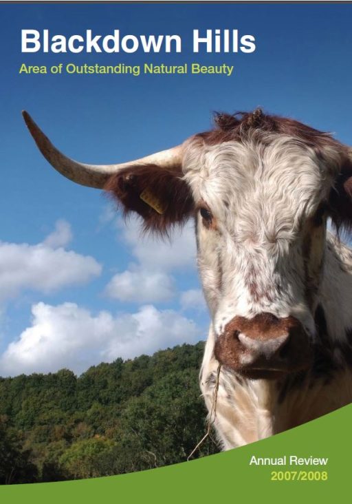 annual review 2007-2008