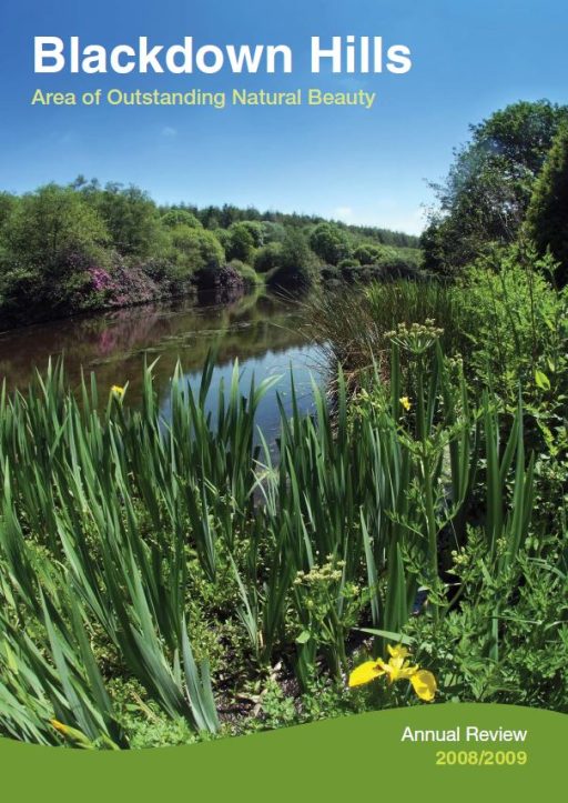 annual review 2008-2009