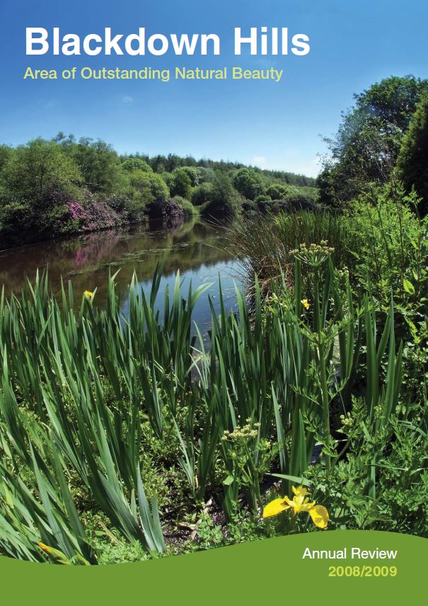 annual review 2008-2009