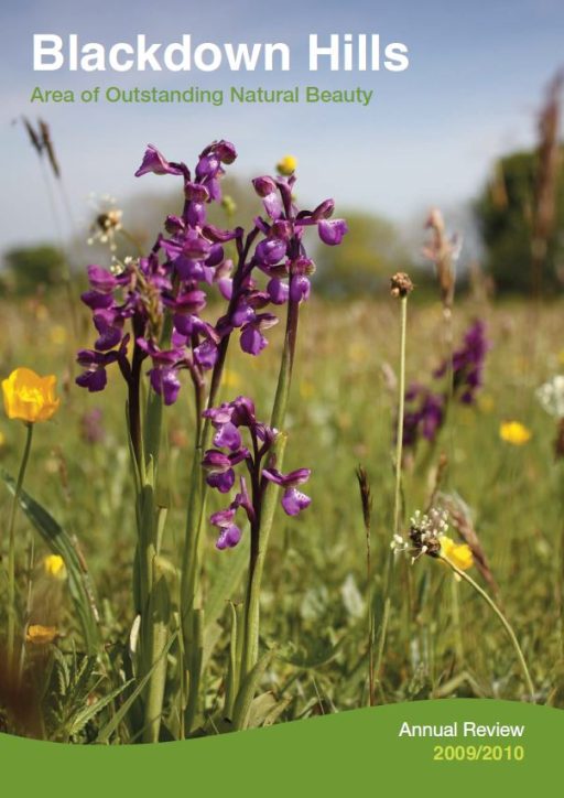 annual review 2009-2010