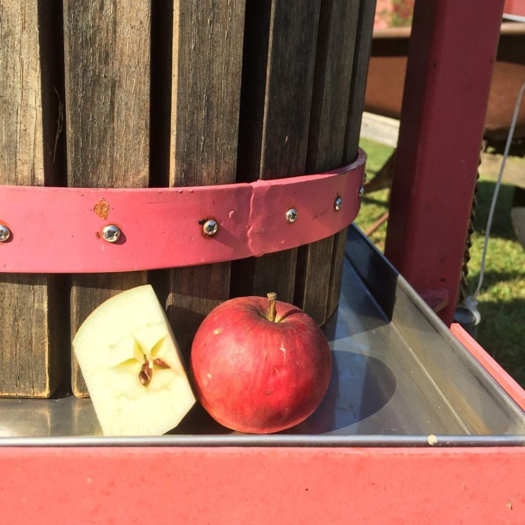 Cider press. Photo: Pixabay
