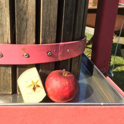 Cider press. Photo: Pixabay
