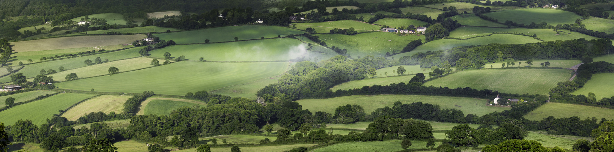 View from Dumpdon Hill. Photo: Liam Marsh