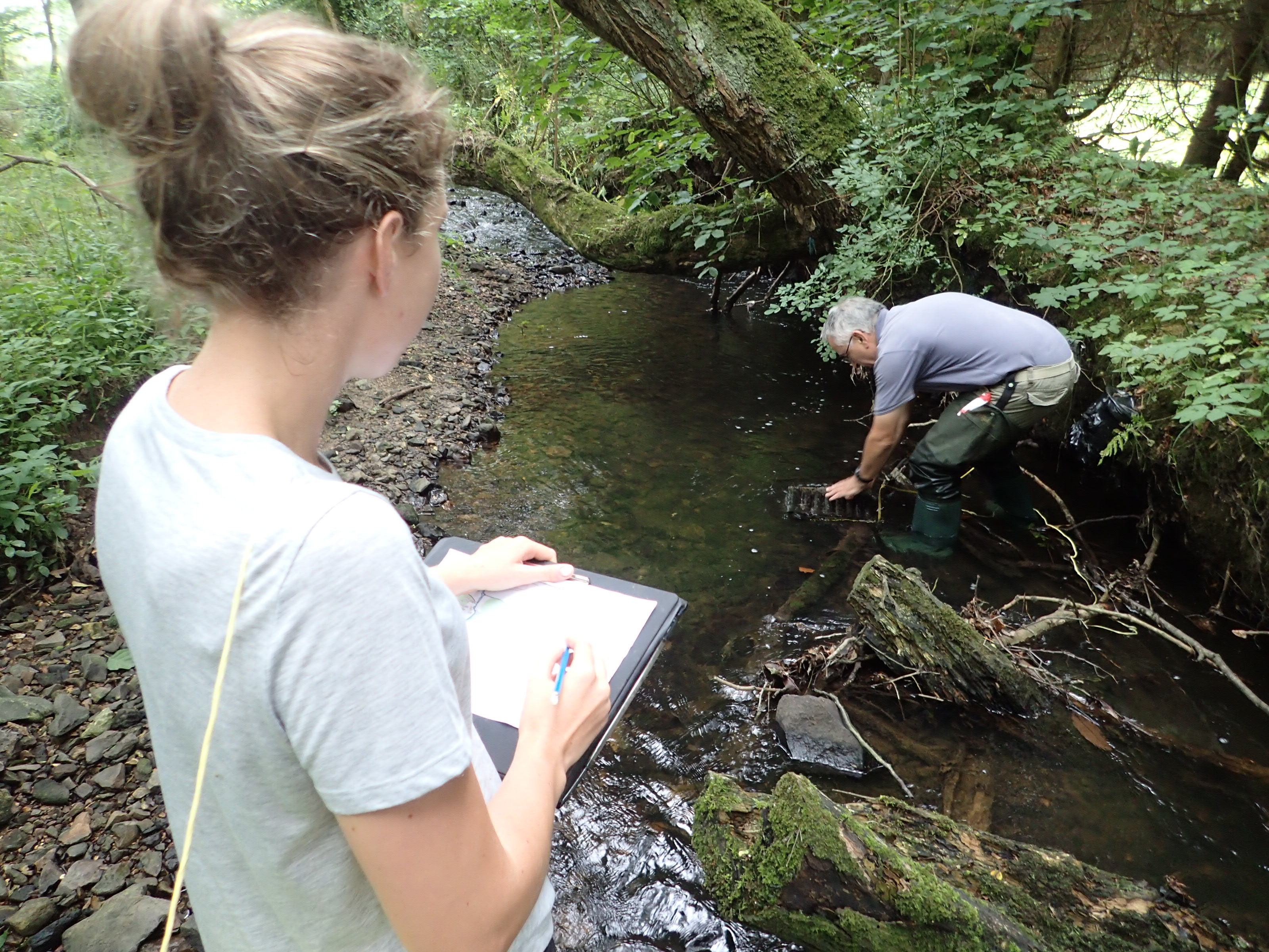 Crayfish survey using refuge trap