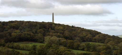 Wellington Monument in the distance