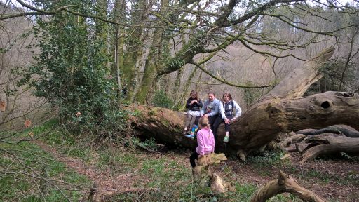 four children sat on a fallen tree trunk in the woods