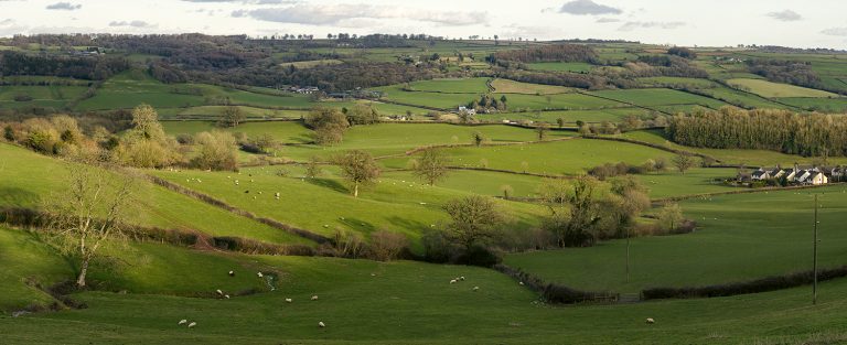 View of fields, hedgerows and buildings with the sun low in the sky