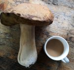 Cep Mushroom with mug of tea