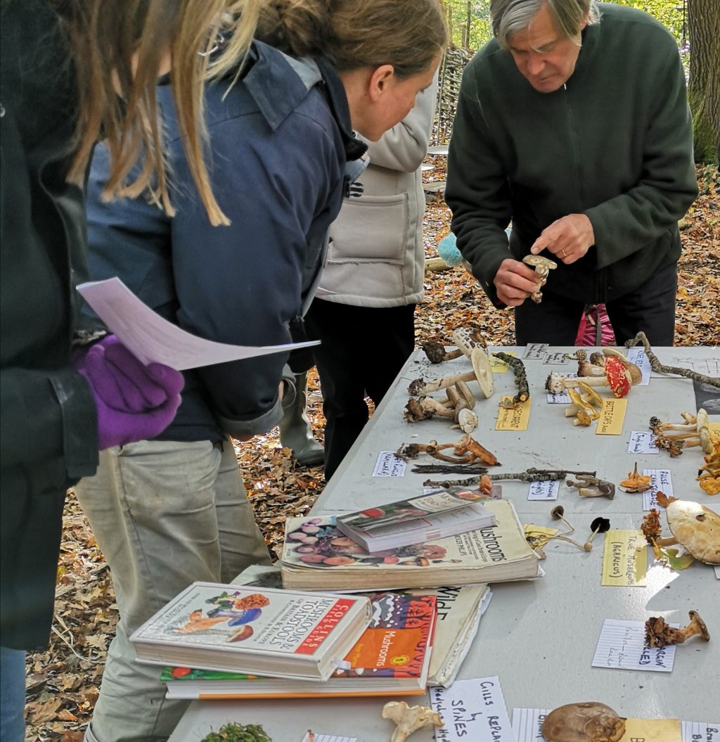 Fungi laid on a table with fungi books
