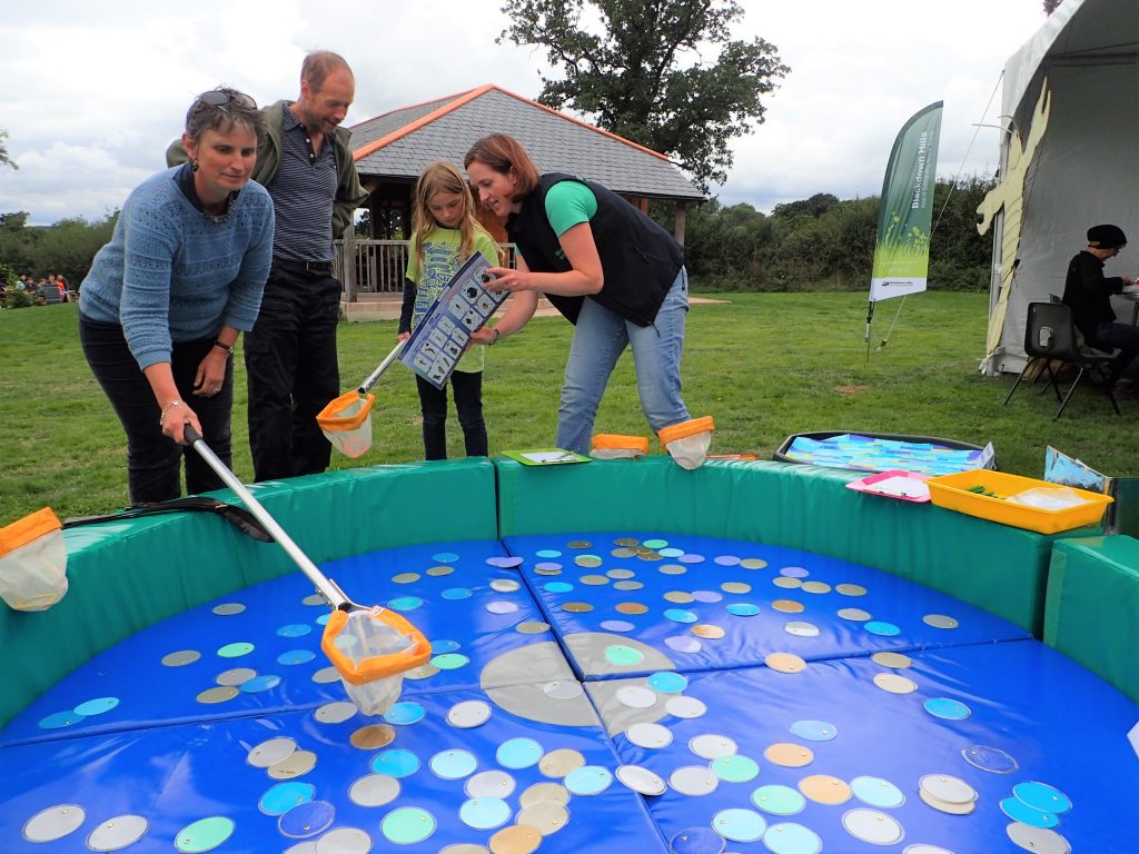 Pond-dipping activitiy