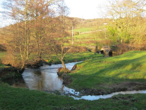 Corry Brook. Photo: Rob Beak