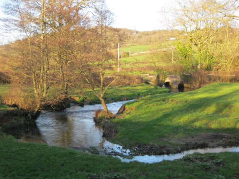 Corry Brook. Photo: Rob Beak