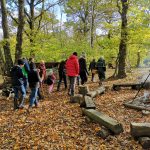 Mushroom Foray Young Wood 2018