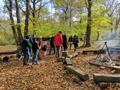 Mushroom Foray Young Wood 2018