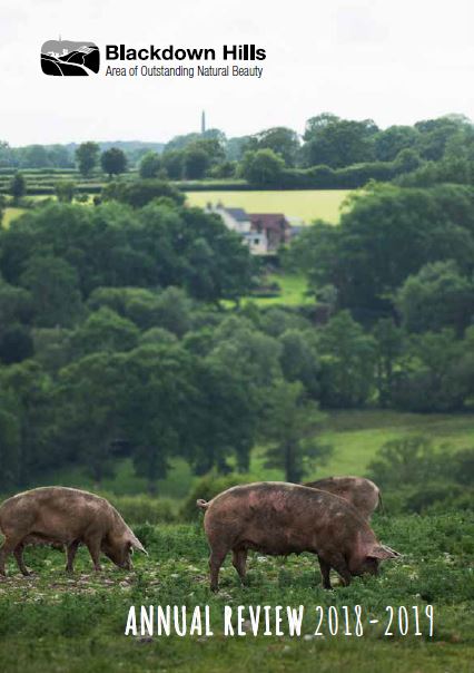 Annual review 2018-2019