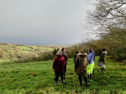 Folly Farm group