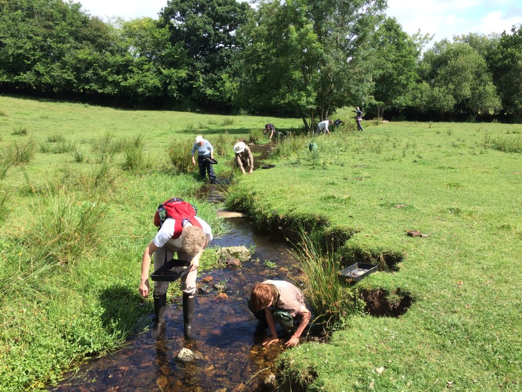 Several volunteers walking along the bed of a stream picking out fragments and placing them in trays.
