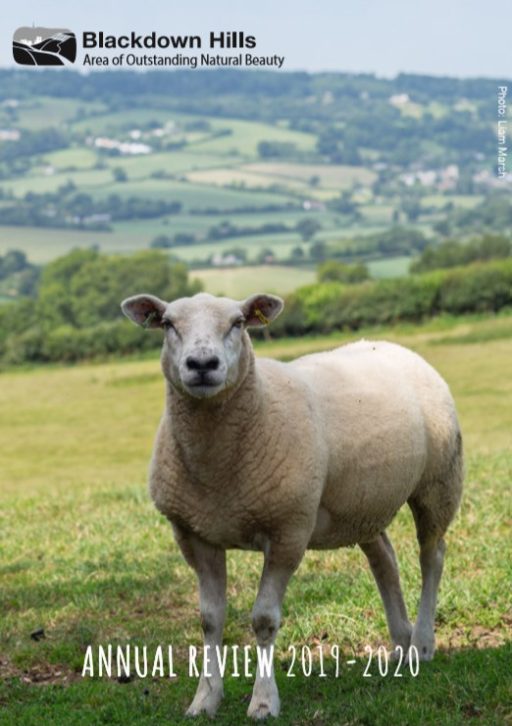 Blackdown Hills Area of Outstanding Natural Beauty annual review 2019-2020 with a picture of a sheep in front of a view of a patchwork of fields and hedges