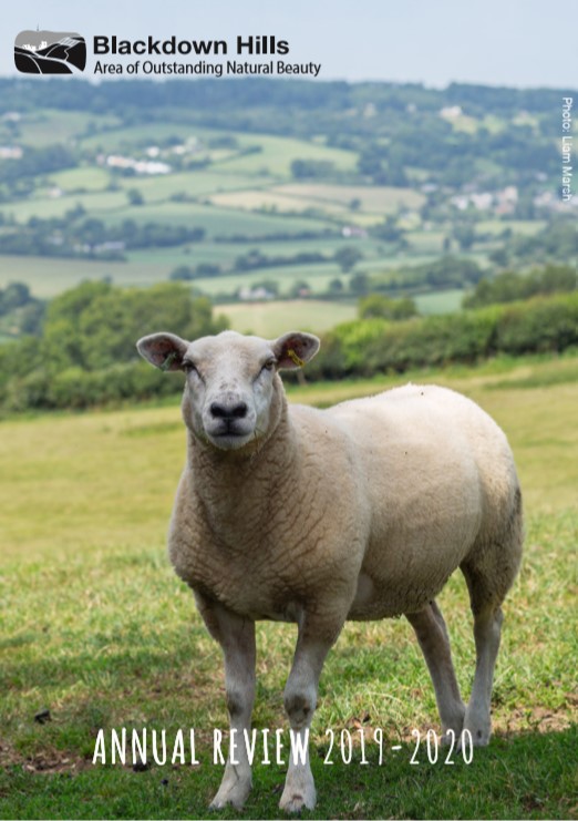 Blackdown Hills Area of Outstanding Natural Beauty annual review 2019-2020 with a picture of a sheep in front of a view of a patchwork of fields and hedges