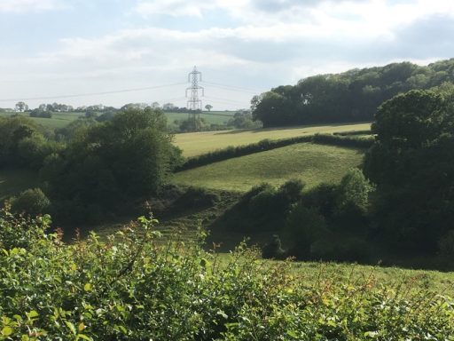 A countryside scene with fields, trees and hedgerows with a pylon on the skyline.