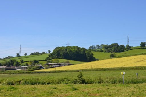 A scene showing fields, hedgerows and pylons across the skyline