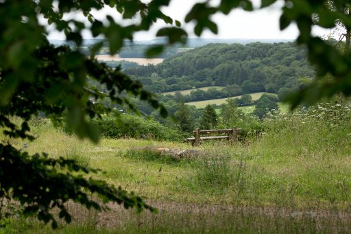 A view through the trees to a picnic bench