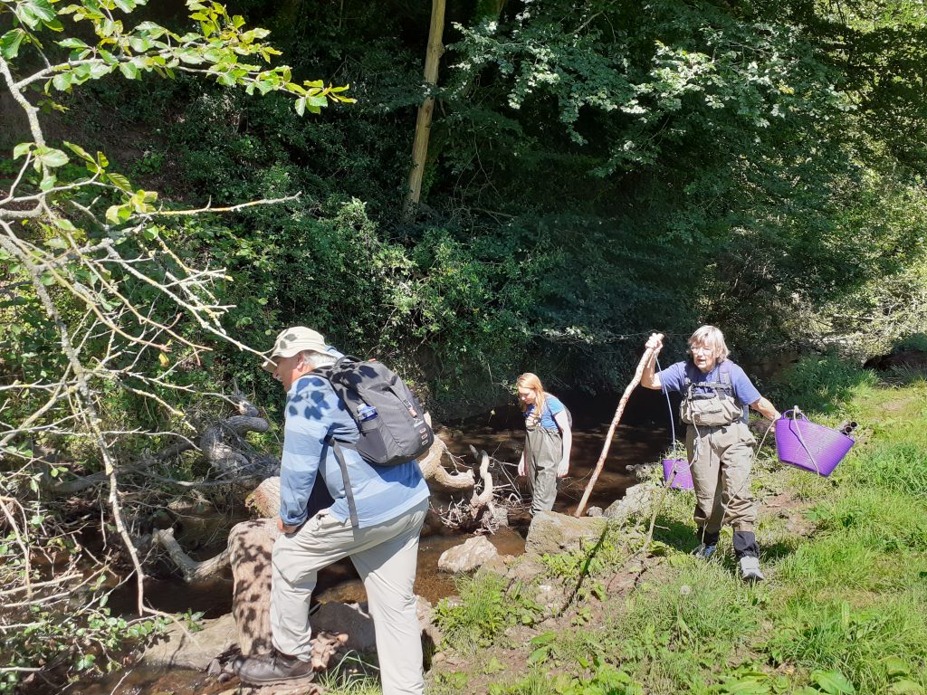 Surveyors looking for crayfish