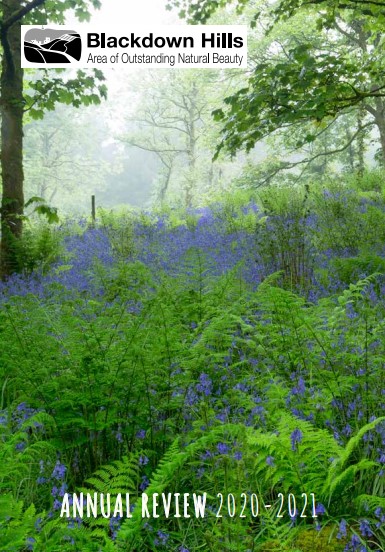 Annual Review 2020-2021