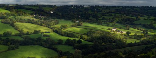 View of fields and hedges from Dumpdon Hill