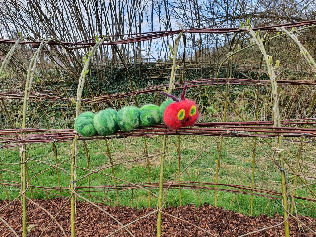 Hungry caterpillar on willow arch