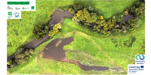 Aerial view of Killerton estate