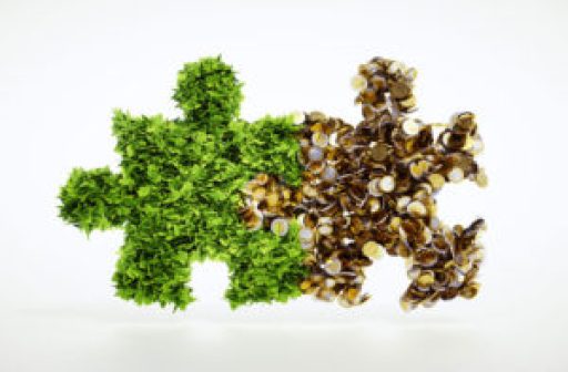 two pieces of puzzle, one grass one money