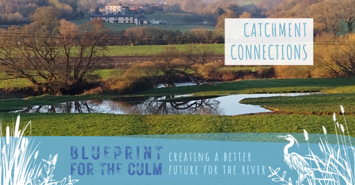 River Culm winding through the landscape
