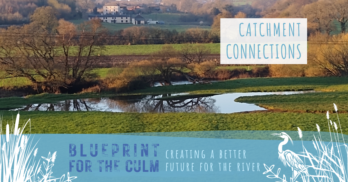 River Culm winding through the landscape