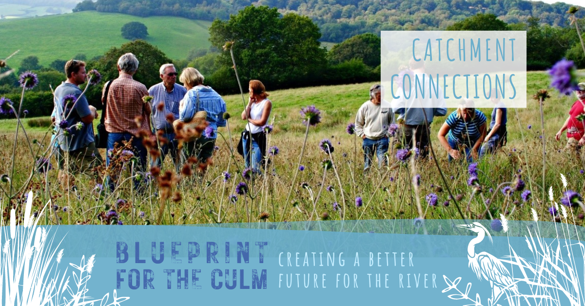 People walking amongst wildflowers