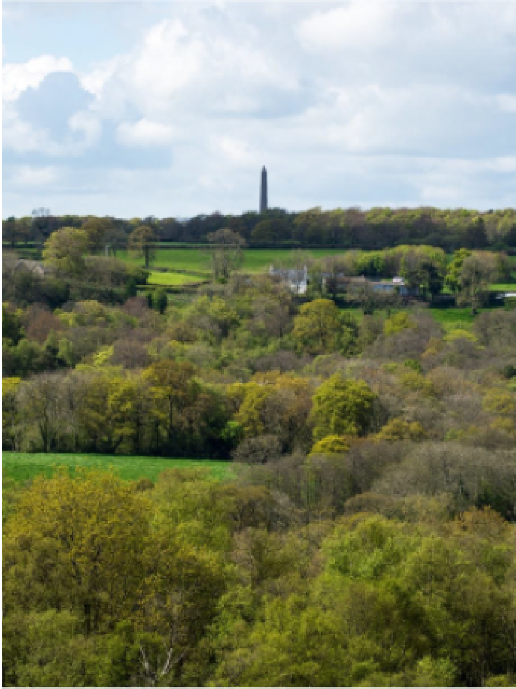 trees and fields with the Wellington Monument in the distance