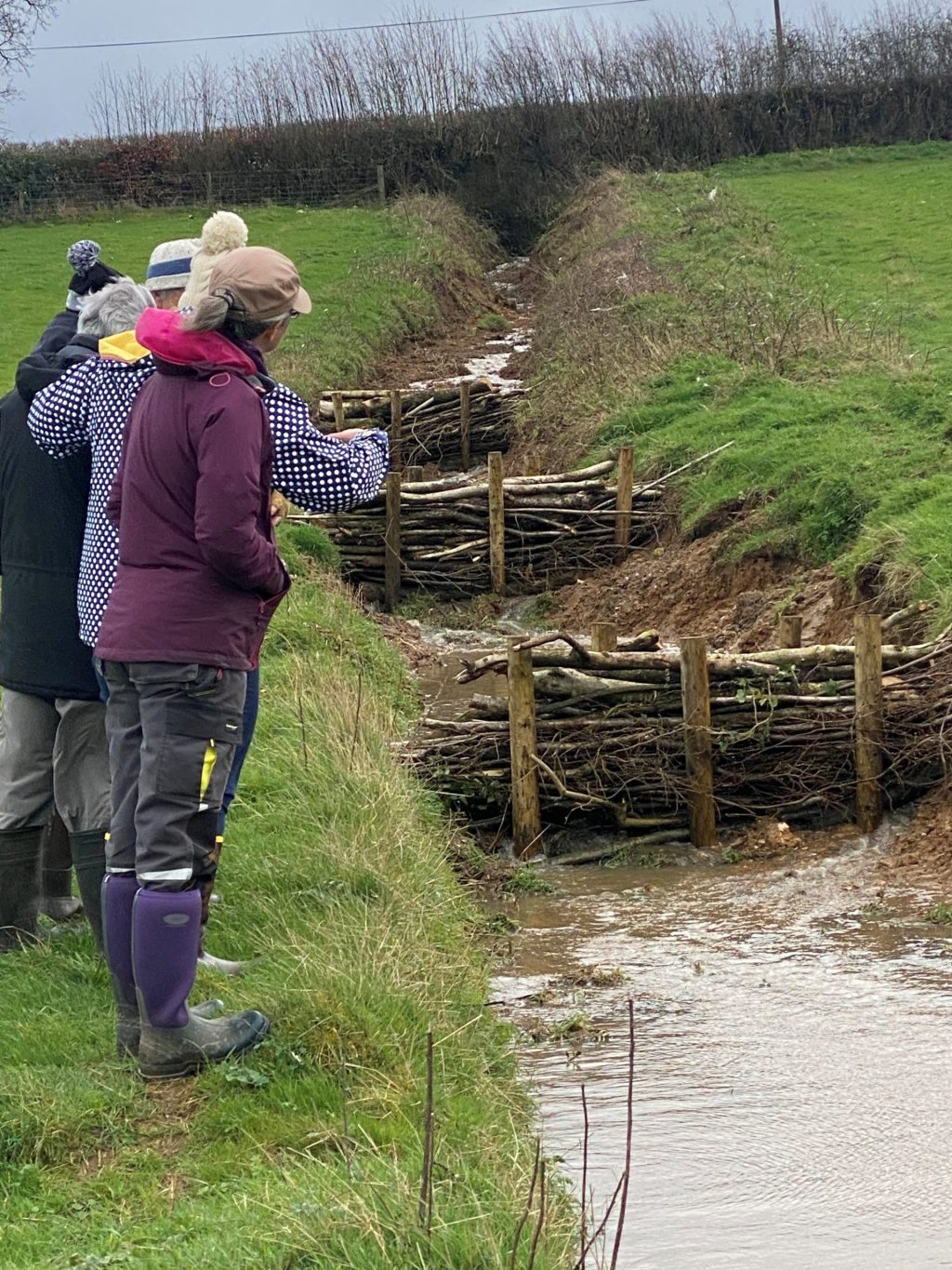 A group of people next to a stream looking at three 'leaky dams' made from horizontal branches piled up and held with stakes