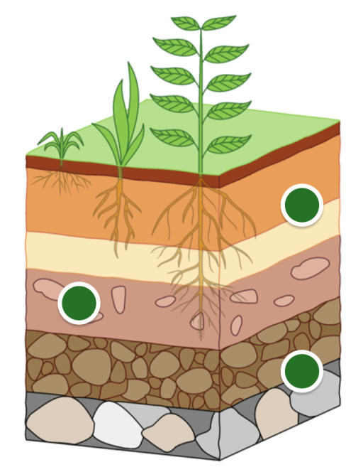 image for the Management plan 2019-2024