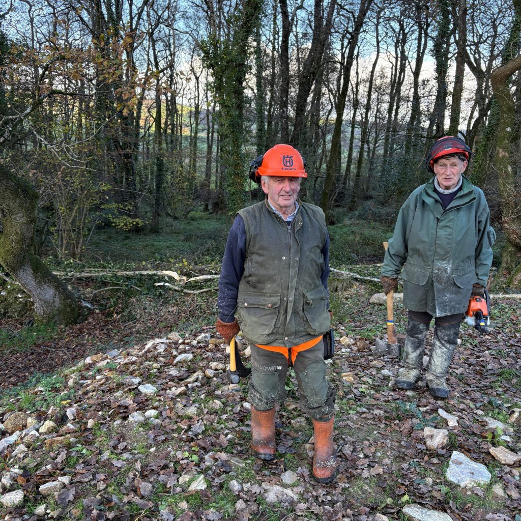 George Pidgeon hedgelaying