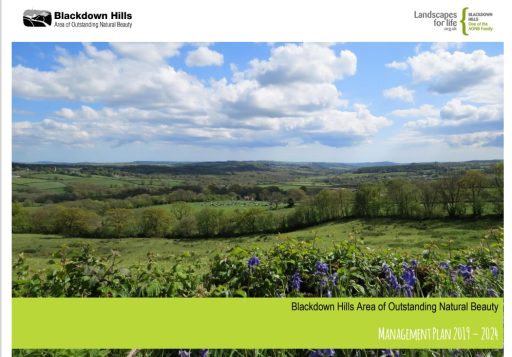 Blackdown Hills Management Plan 2019-2024