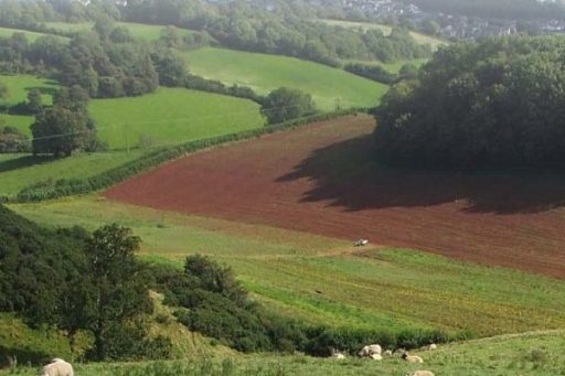 View across the landscape with fields, trees and the sea in the background.