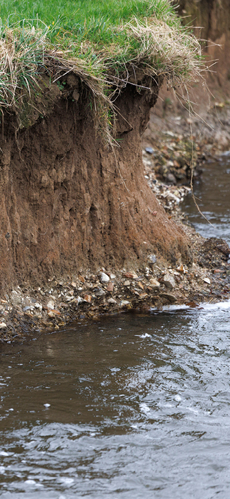 Alluvial soil - a river bank