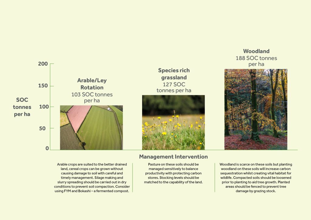 Arable/ley rotation.
103 SOC tonnes per ha.
Arable crops are suited to the better drained land, cereal crops can be grown without causing damage to soil with careful and timely management. Silage making and
slurry spreading should be carried out in dry conditions to prevent soil compaction. Consider using FYM and Bokashi – a fermented compost.
Species rich grassland.
127 tonnes per ha.
Pasture on these soils should be managed sensitively to balance
productivity with protecting carbon stores. Stocking levels should be matched to the capability of the land.
Woodland. 
188 SOC tonnes per ha.
Woodland is scarce on these soils but planting woodland on these soils will increase carbon sequestration whilst creating vital habitat for wildlife. Compacted soils should be loosened prior to planting to aid tree growth. Planted areas should be fenced to prevent tree
damage by grazing stock.